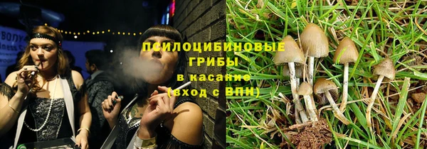 a pvp Белокуриха