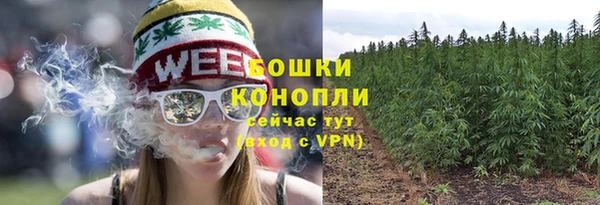 ALPHA PVP Беломорск