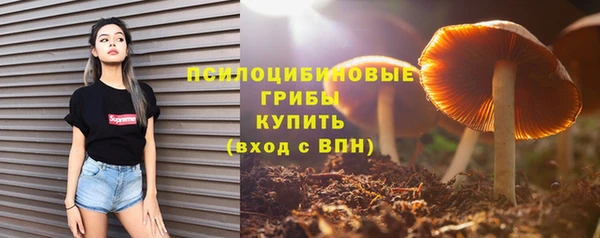 a pvp Белокуриха
