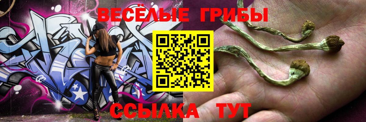 Псилоцибиновые грибы мицелий Воркута