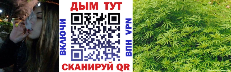 Бошки марихуана гибрид Воркута